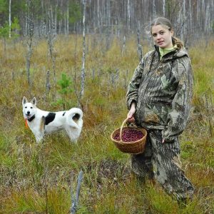 cranberries-on-a-bog-with-a-girl-and-dog